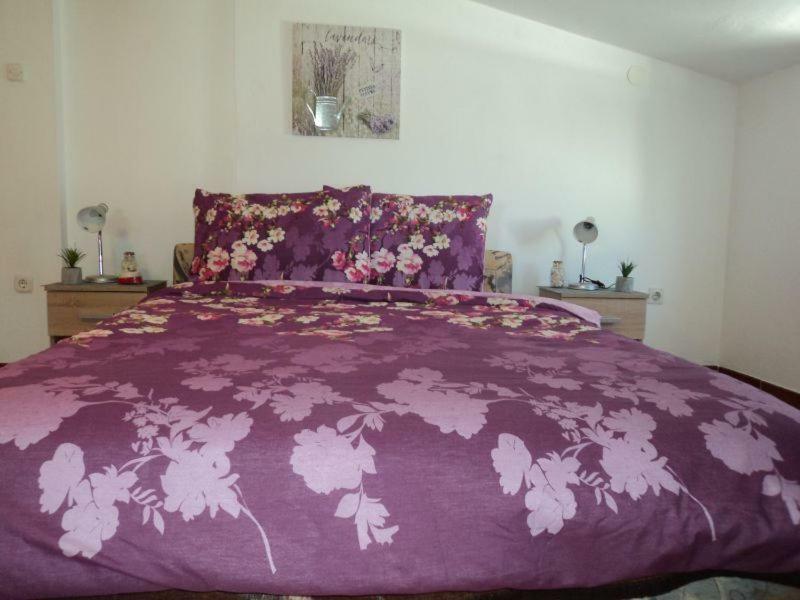 Studio Apartments Ana Rovinj Eksteriør billede