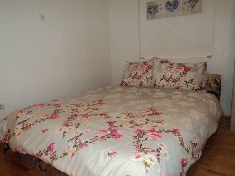 Studio Apartments Ana Rovinj Eksteriør billede